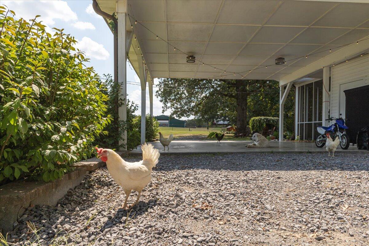 6826 Sam Smith Road Birchwood, TN 37308 - Photo 30 of 46 30-IMG_4678