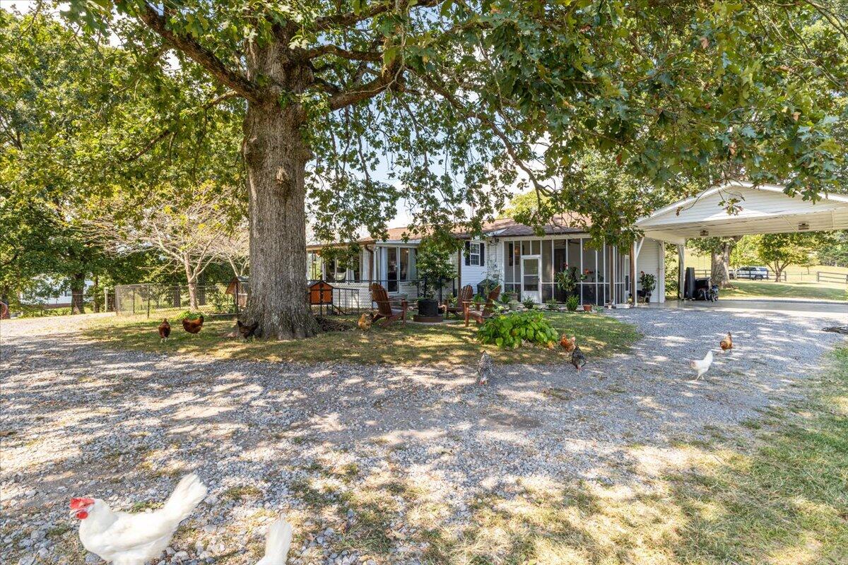 6826 Sam Smith Road Birchwood, TN 37308 - Photo 32 of 46 32-IMG_4690