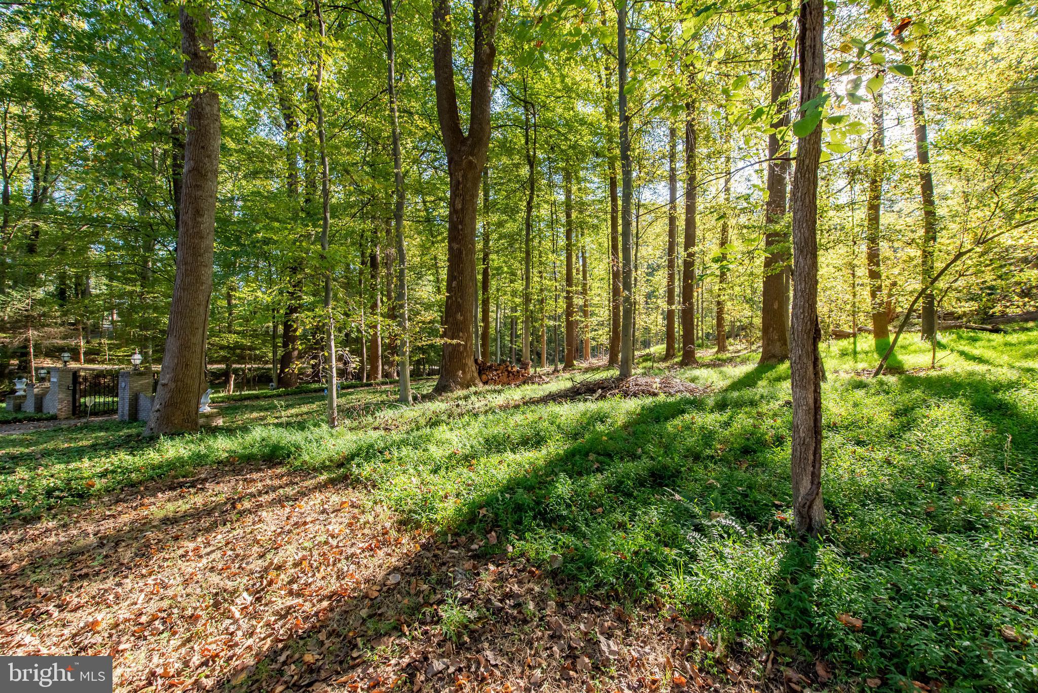 11608 Springridge Road Potomac, MD 20854 - Photo 1 of 3 Lot/Land