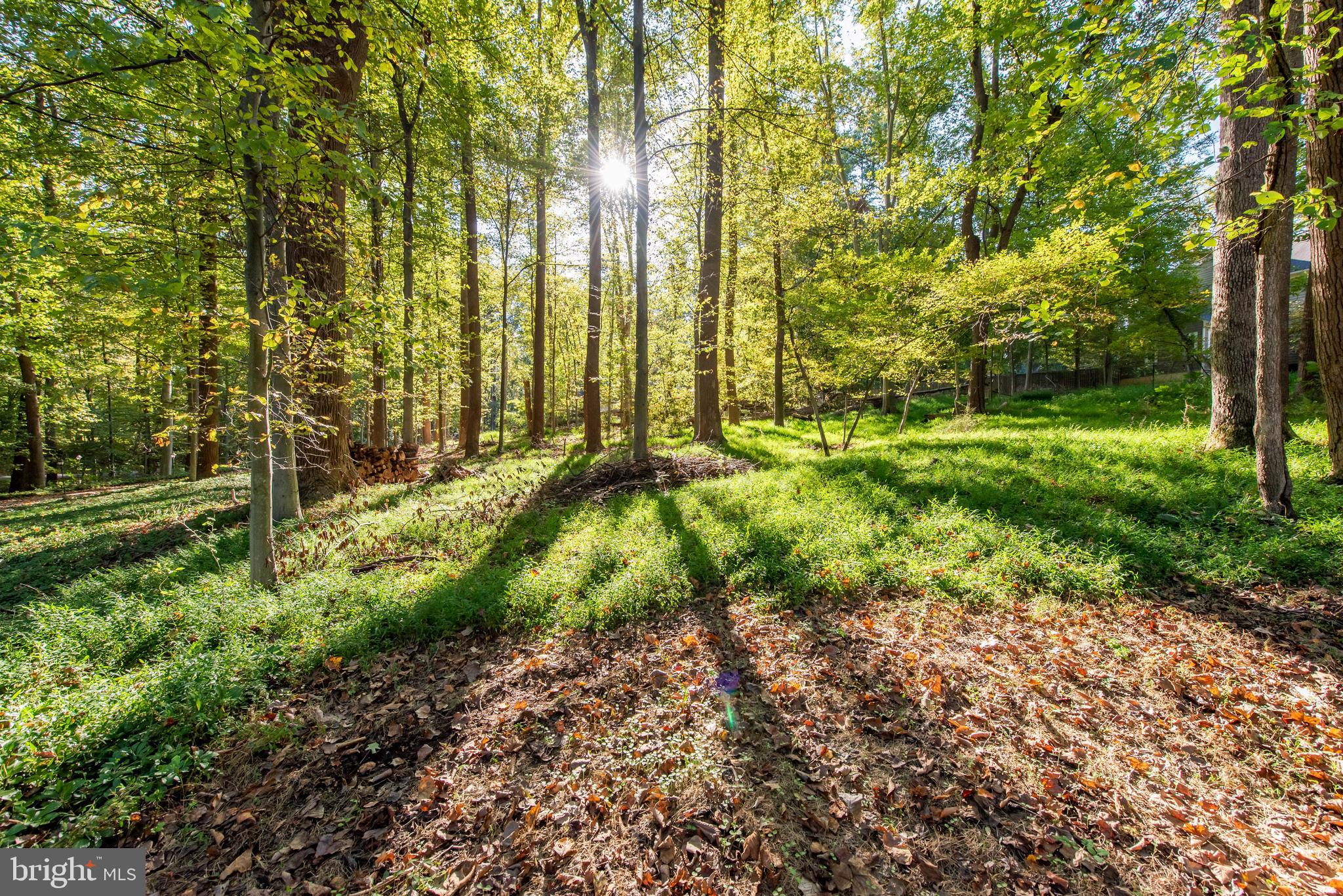 11608 Springridge Road Potomac, MD 20854 - Photo 2 of 3 Lot/Land