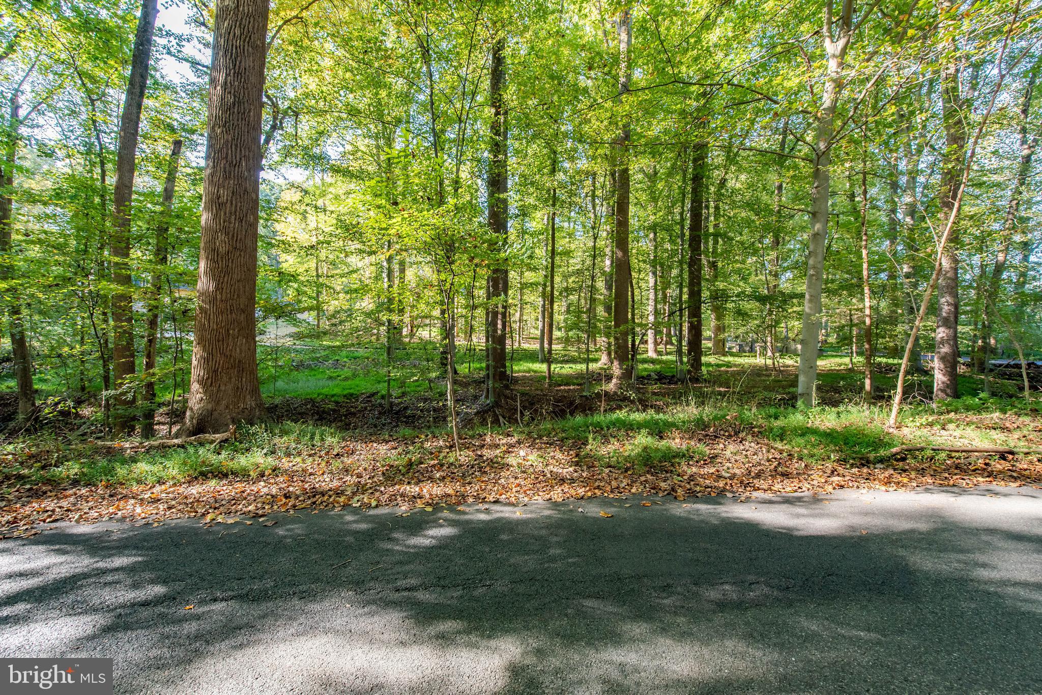 11608 Springridge Road Potomac, MD 20854 - Photo 3 of 3 Lot/Land