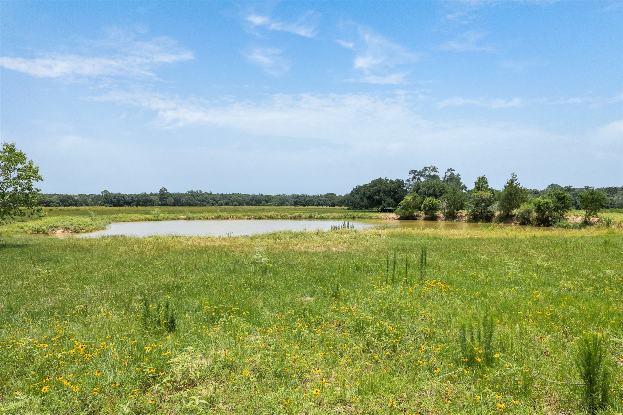 16204 Newberg Road New Ulm, TX 78950 - Photo 15 of 40 Gallery Image 15
