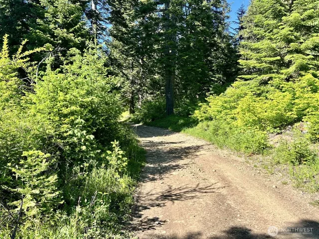 $149,997 | 0 Stampede Pass Road, Easton, WA 98925