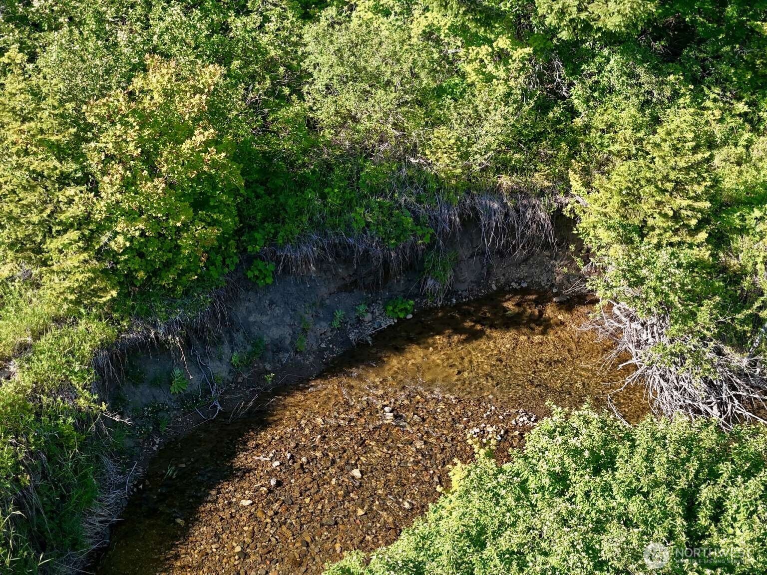 0 Stampede Pass Road Easton, WA 98925 - Photo 14 of 24