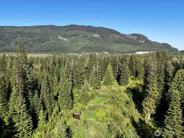 $149,997 | 0 Stampede Pass Road, Easton, WA 98925