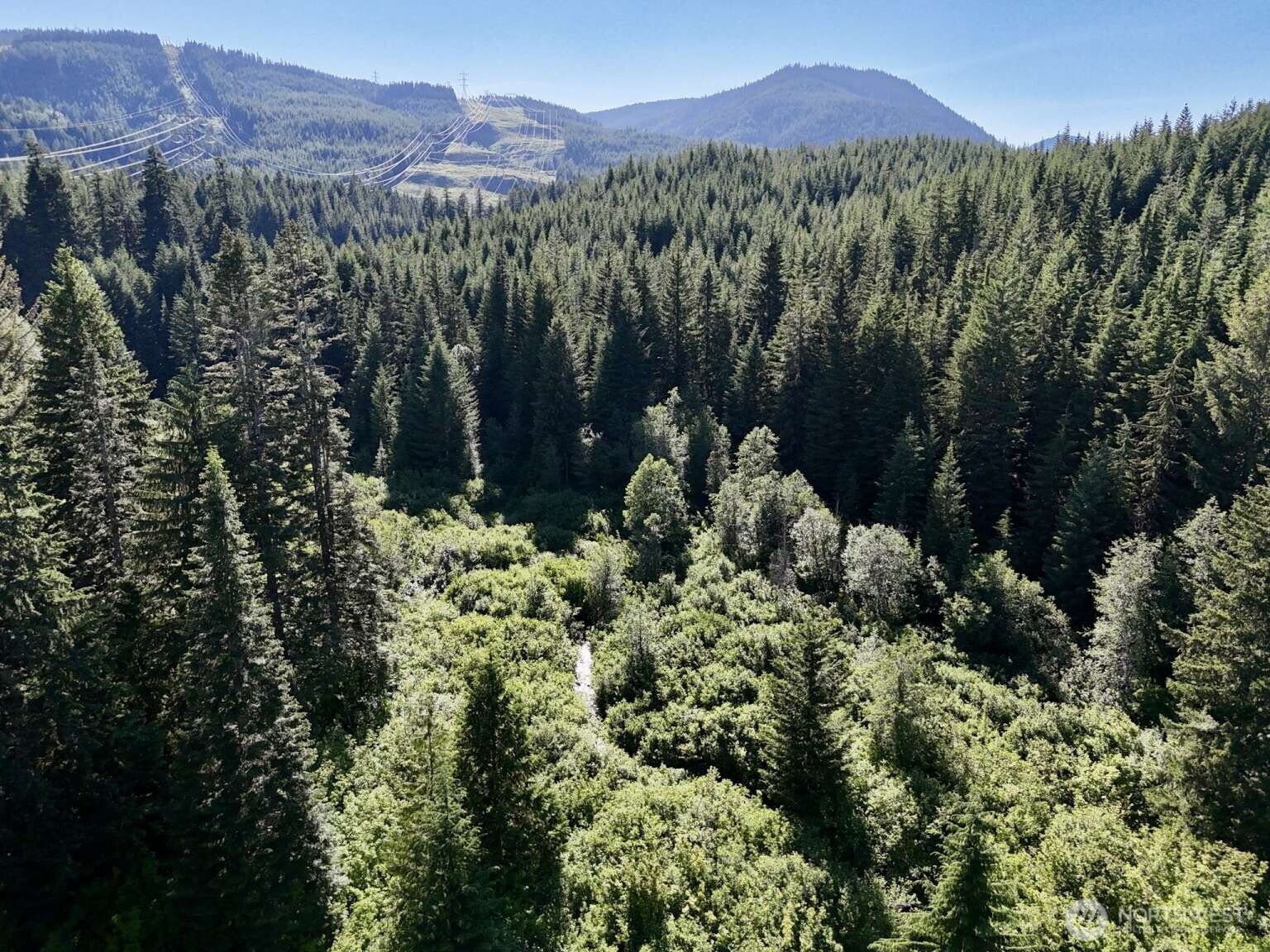 0 Stampede Pass Road Easton, WA 98925 - Photo 17 of 24