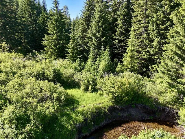 $149,997 | 0 Stampede Pass Road, Easton, WA 98925