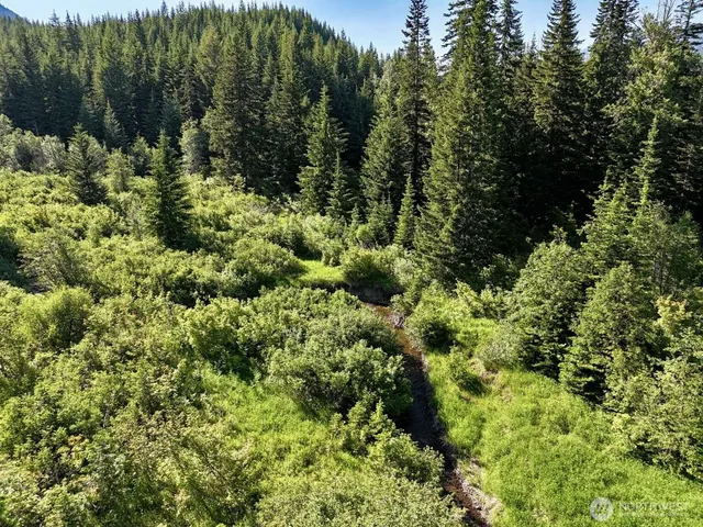 $149,997 | 0 Stampede Pass Road, Easton, WA 98925