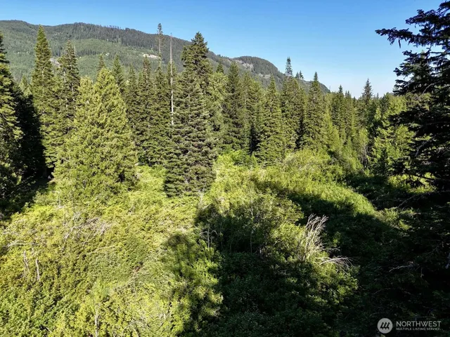 $149,997 | 0 Stampede Pass Road, Easton, WA 98925