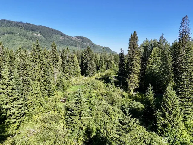 $149,997 | 0 Stampede Pass Road, Easton, WA 98925