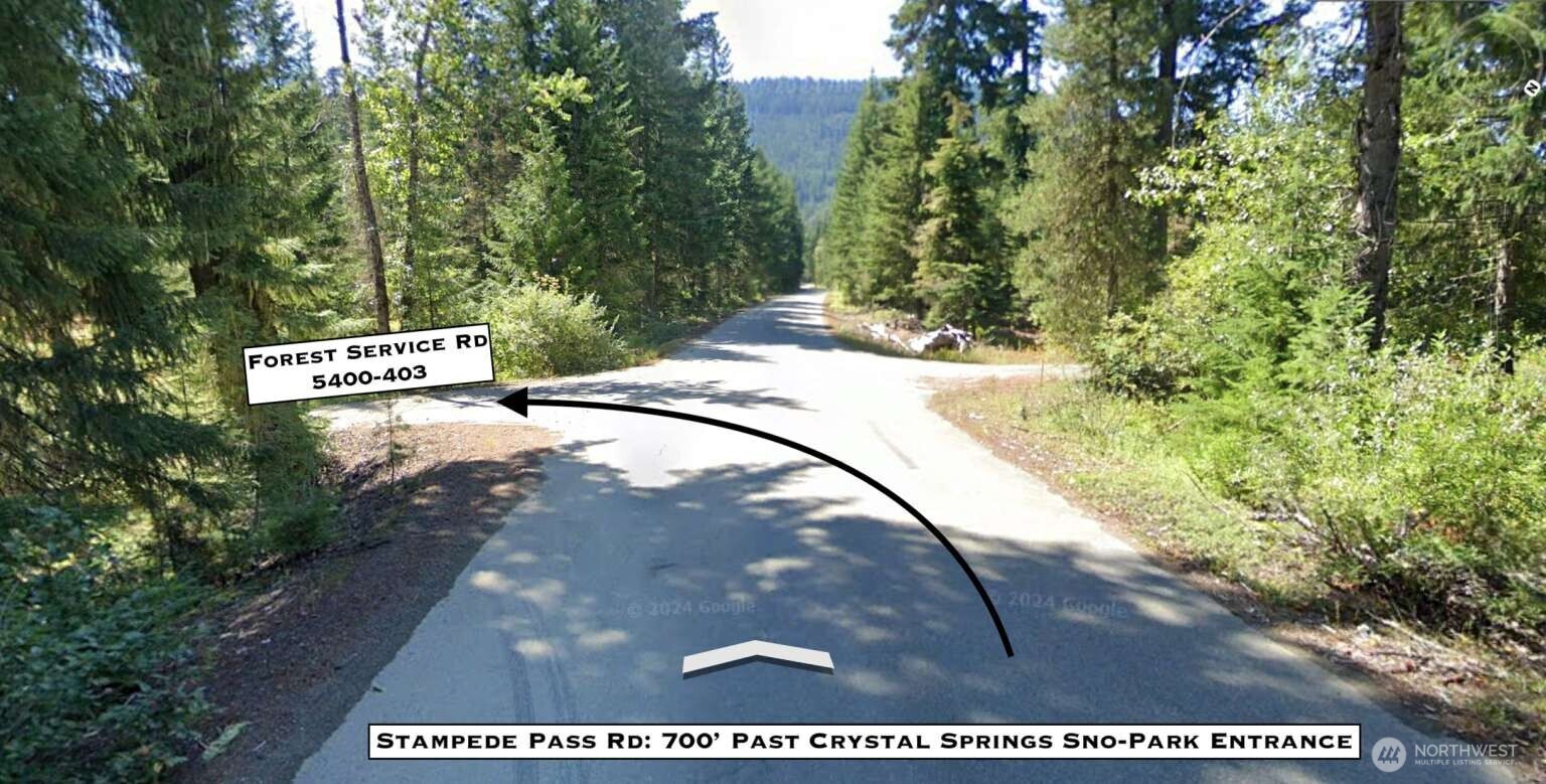 0 Stampede Pass Road Easton, WA 98925 - Photo 9 of 24