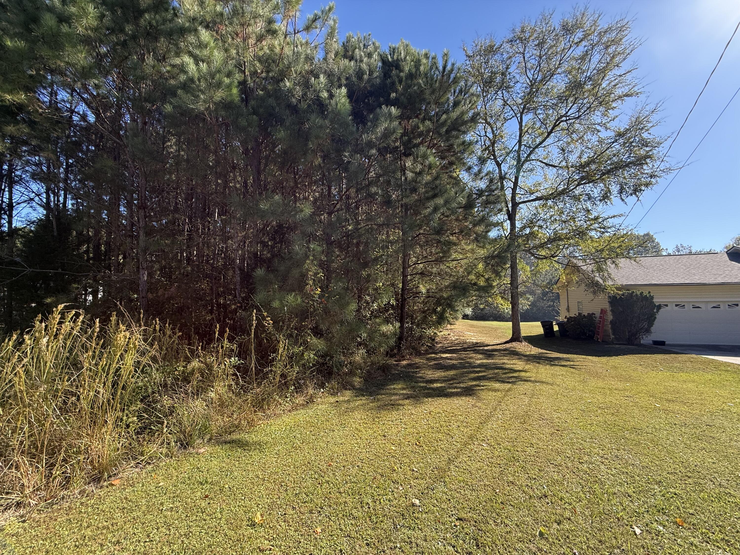 2089 Southeast Hunt Road Cleveland, TN 37323 - Photo 8 of 19 Lot next door included