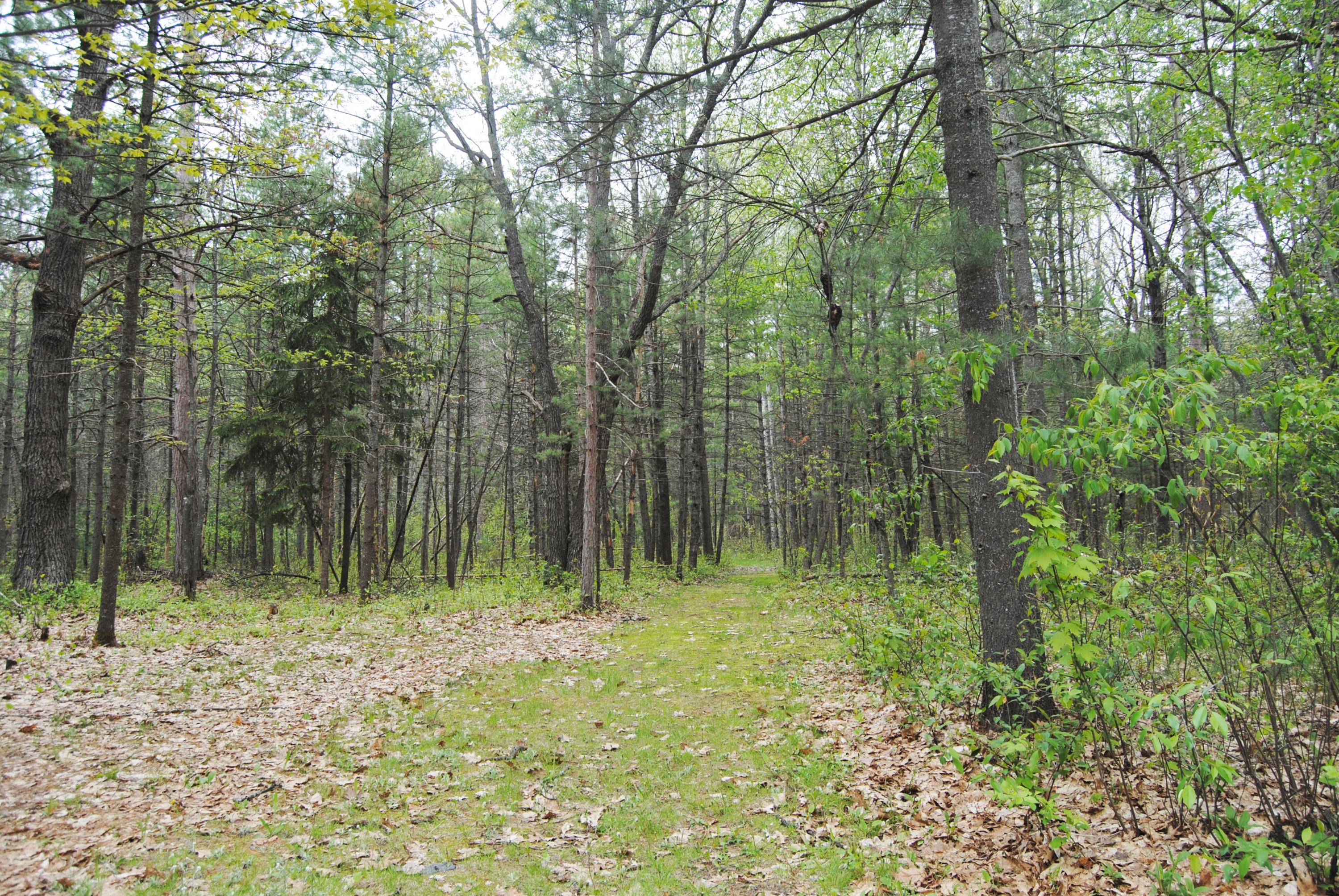 9129 Twin Bridge Road Grayling, MI 49738 - Photo 28 of 35 Gallery Image 28