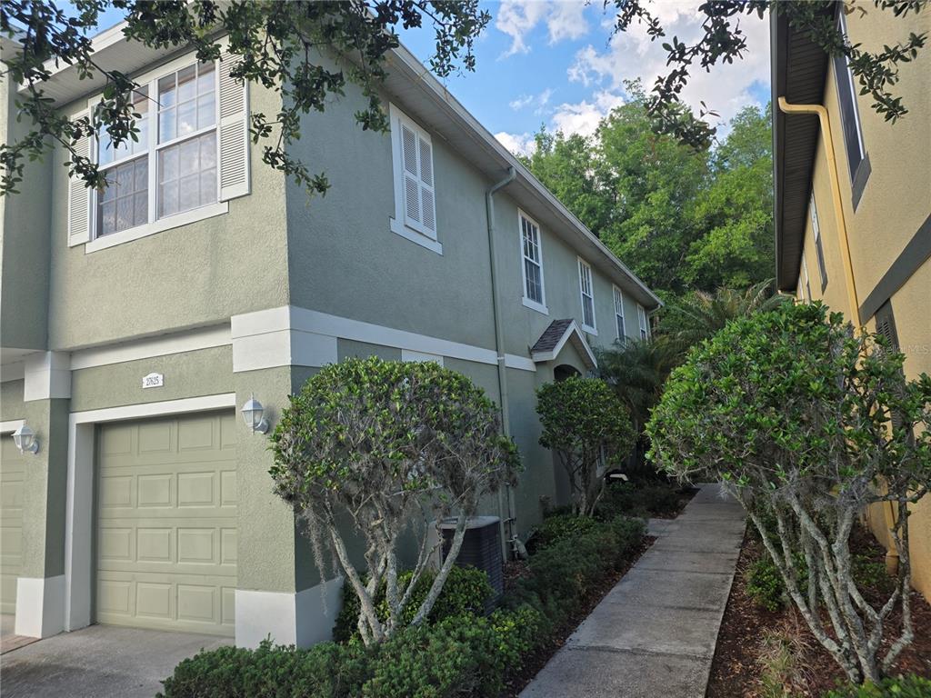27625 Pleasure Ride Loop Wesley Chapel, FL 33544 - Photo 3 of 19