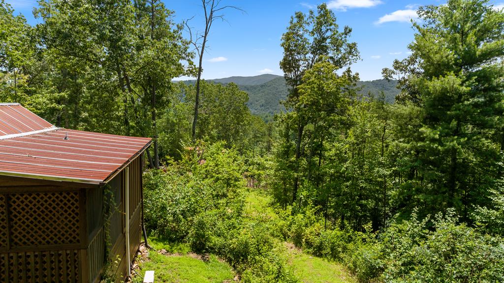 120 Community Hill Drive Blue Ridge, GA 30513 - Photo 54 of 58 Gallery Image 54