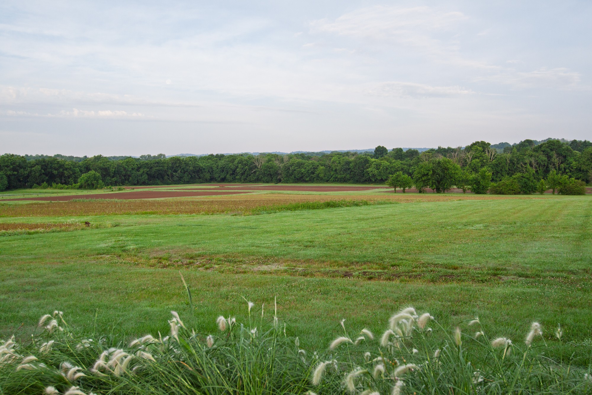 2023 Toby Robertson Road Spring Hill, TN 37174 - Photo 39 of 55