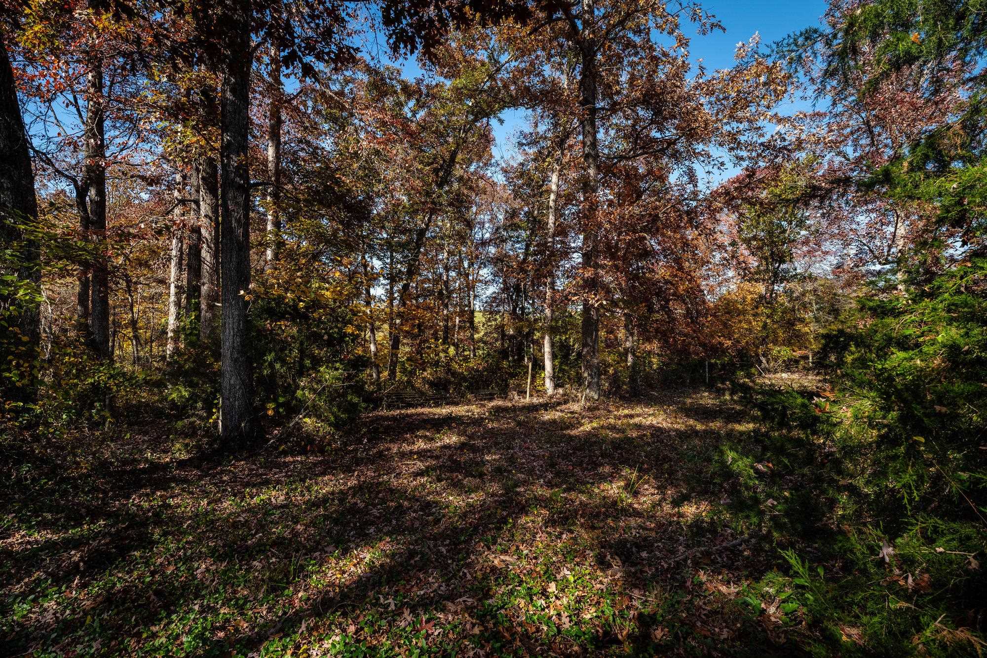 1798 Loop Road Elkton, VA 22827 - Photo 69 of 69 Gallery Image 69