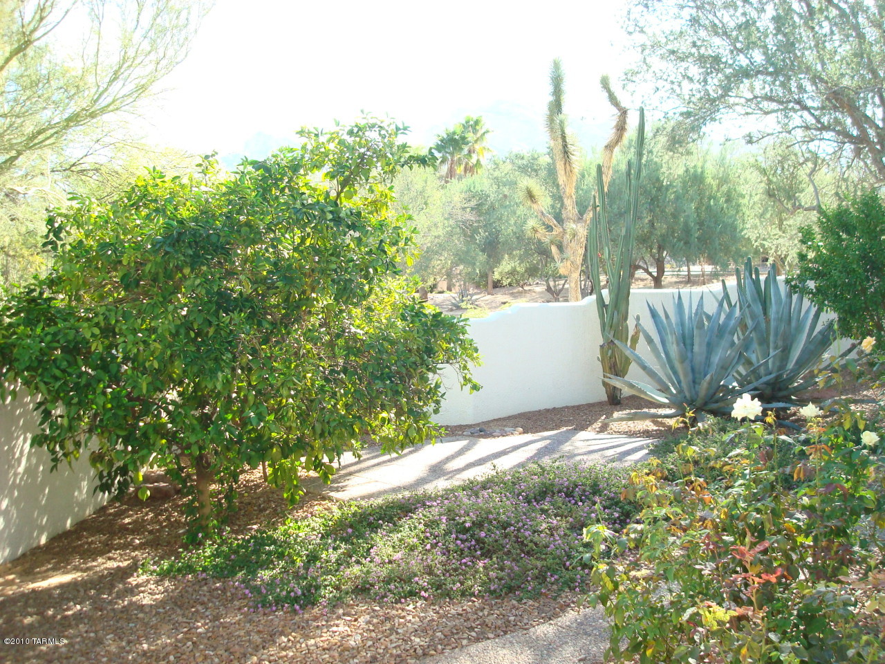 9985 North Desert Sky Road Oro Valley, AZ 85737 - Photo 38 of 43 a backyard of a house with lots of green space and garden