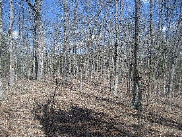 1234 North Rays Fork Road Sadieville, KY 40370 - Photo 3 of 16 Photo 3