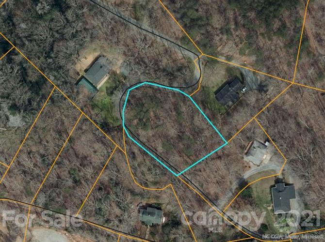 0 Ioka Hills Road Tryon, NC 28782 - Photo 3 of 3 Gallery Image 3