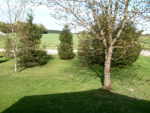 6858 Butler Road Southwest South Boardman, MI 49680 - Photo 37 of 51 1832305-36.JPG
