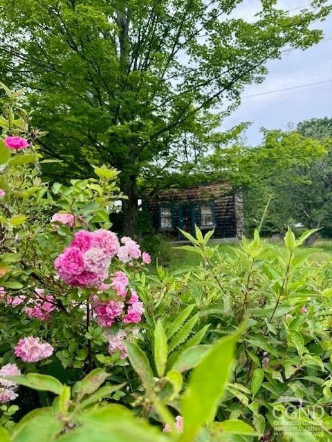 1041 Bates Church Road Broome, NY 12469 - Photo 24 of 31 Photo 24