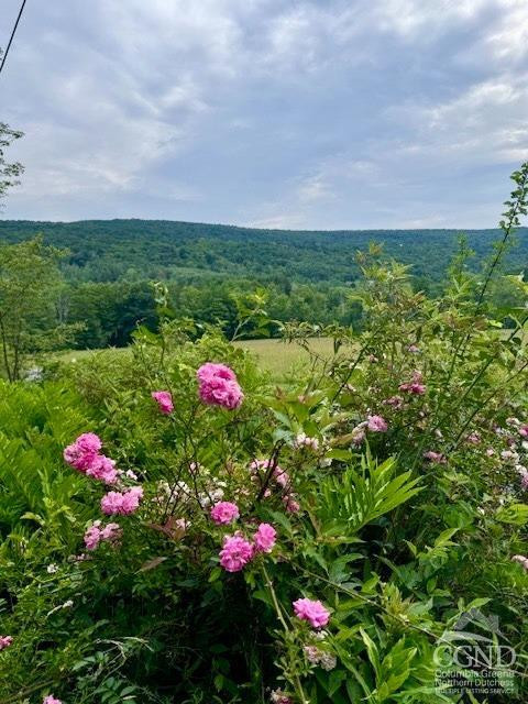 1041 Bates Church Road Broome, NY 12469 - Photo 25 of 31 Photo 25