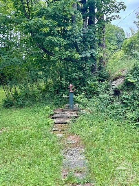 1041 Bates Church Road Broome, NY 12469 - Photo 26 of 31 Photo 26
