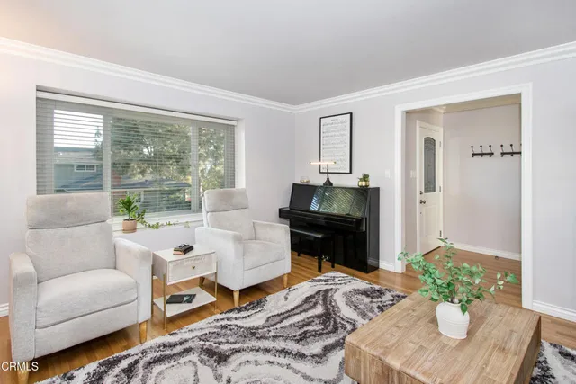 a living room with furniture and a potted plant