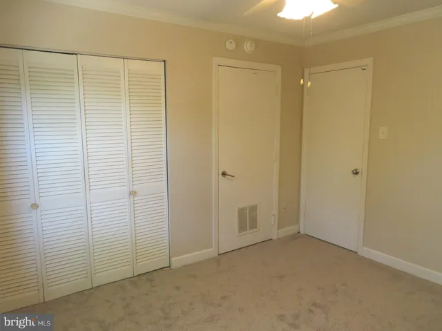 a view of a yard with cars on road