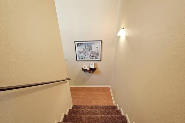 a view of a pathway with plants and large trees