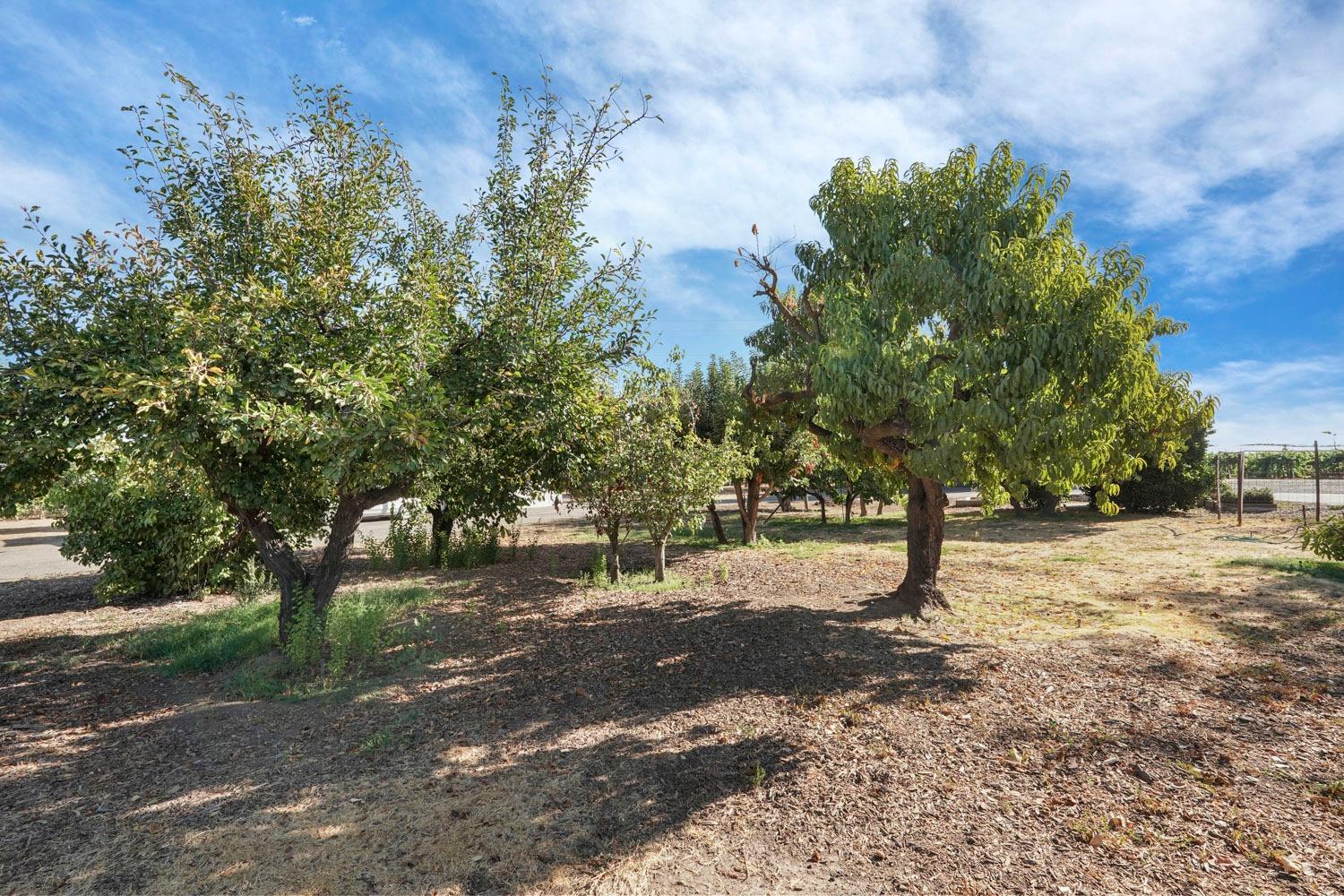 14267 East Peltier Road Acampo, CA 95220 - Photo 45 of 65