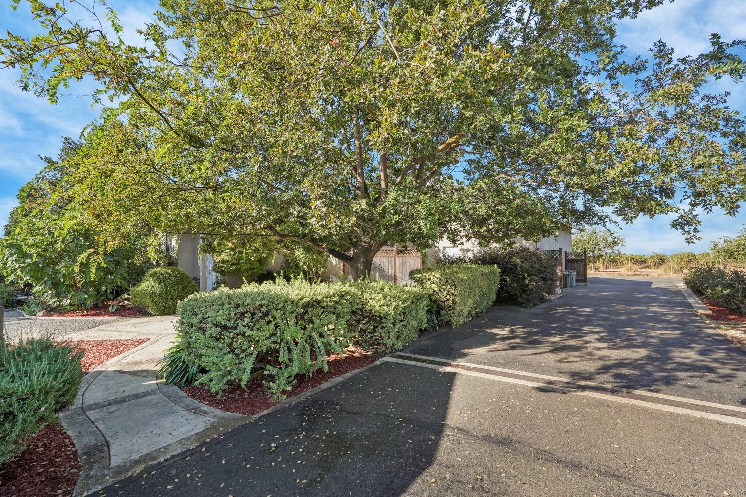 14267 East Peltier Road Acampo, CA 95220 - Photo 46 of 65 a view of a street with a tree