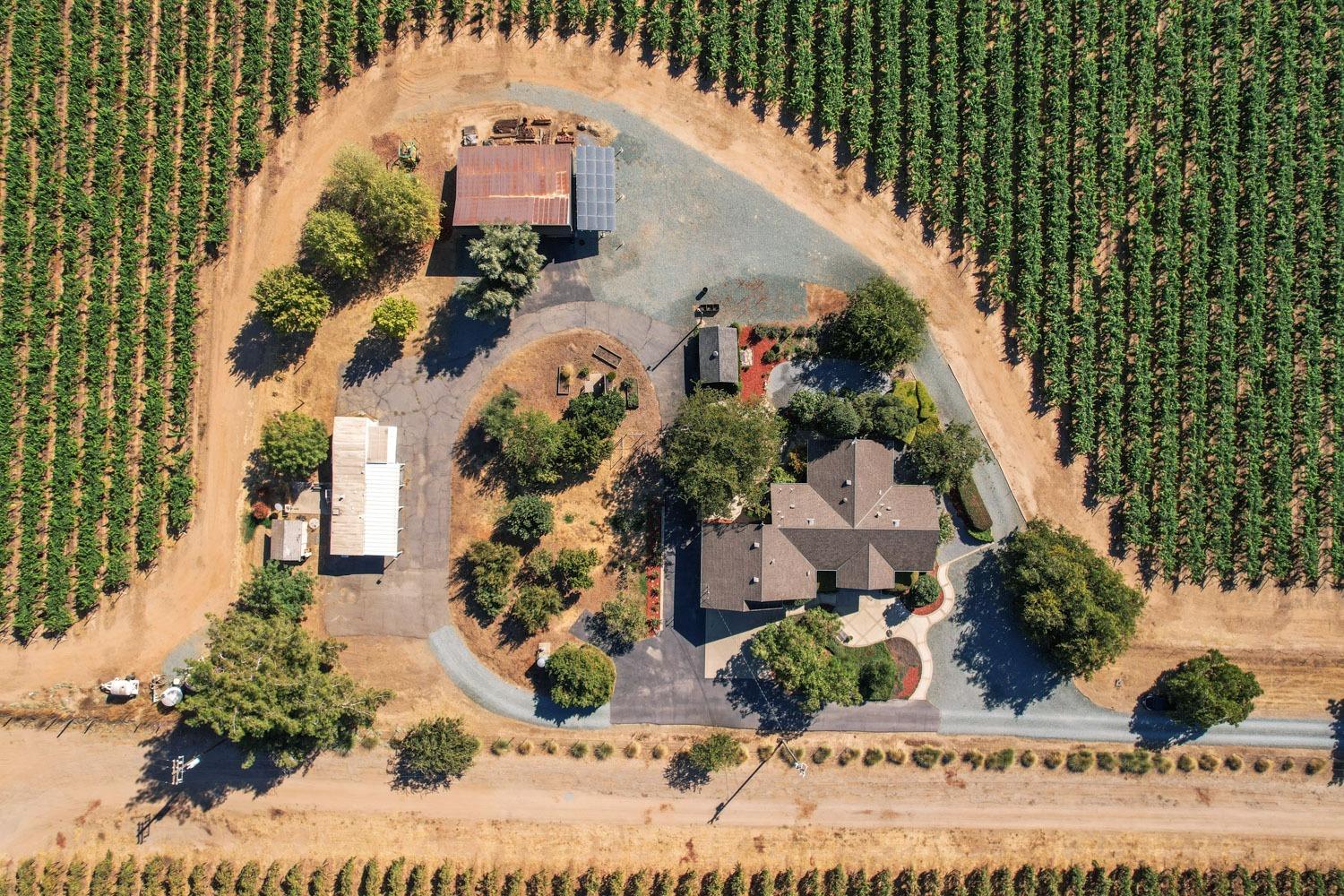 14267 East Peltier Road Acampo, CA 95220 - Photo 60 of 65 a front view of a house with a yard