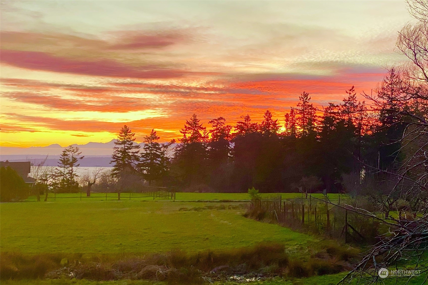 6567 Wahl Road Freeland, WA 98249 - Photo 35 of 40 a view of an ocean and a yard