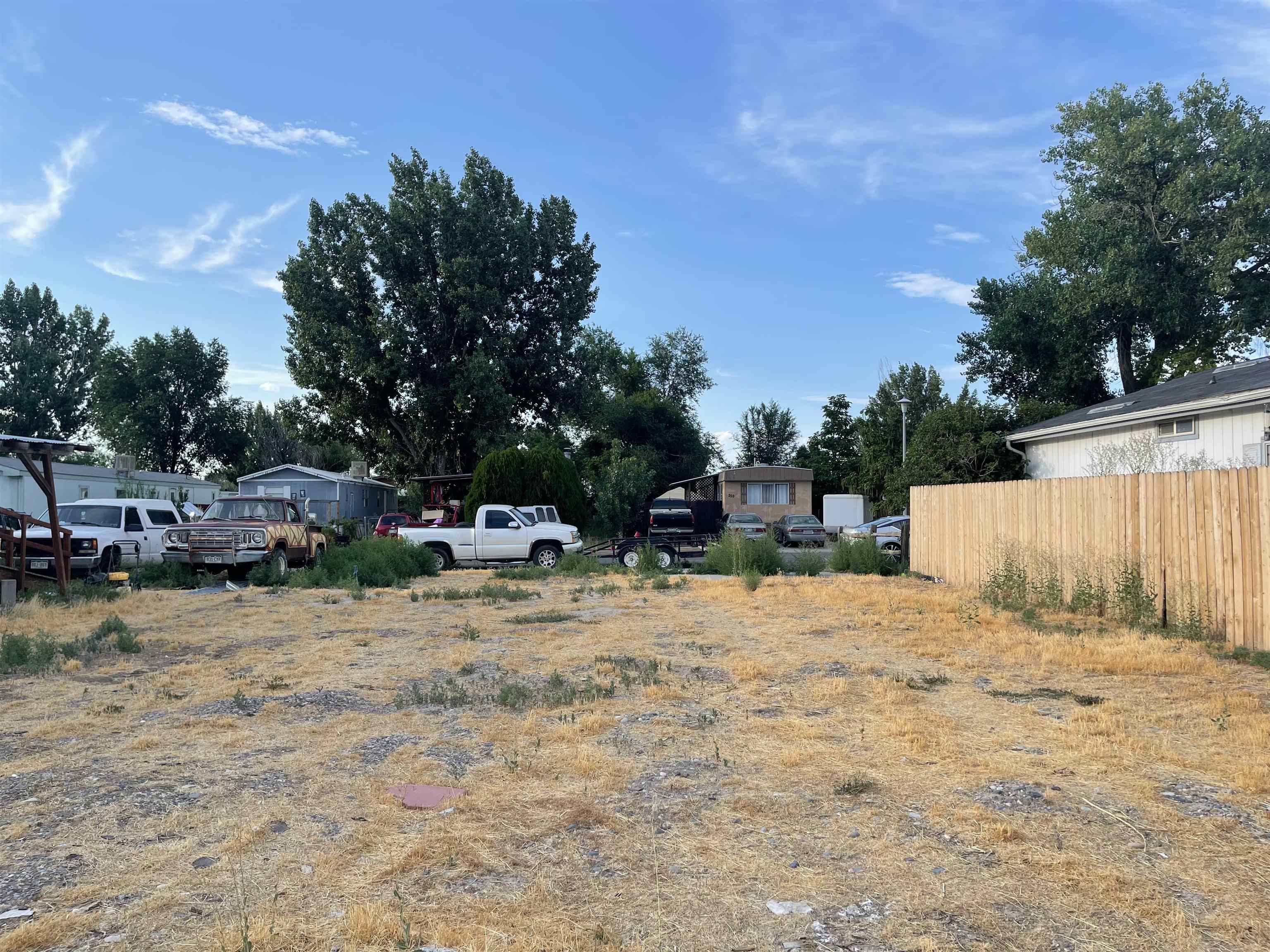262 Red Cliffs Drive Fruita, CO 81521 - Photo 2 of 4 a view of a yard with a tree