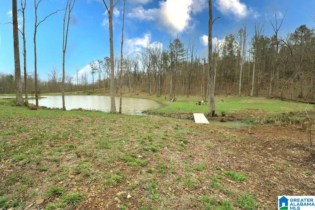 85 County Road 910 Delta, AL 36258 - Photo 46 of 49