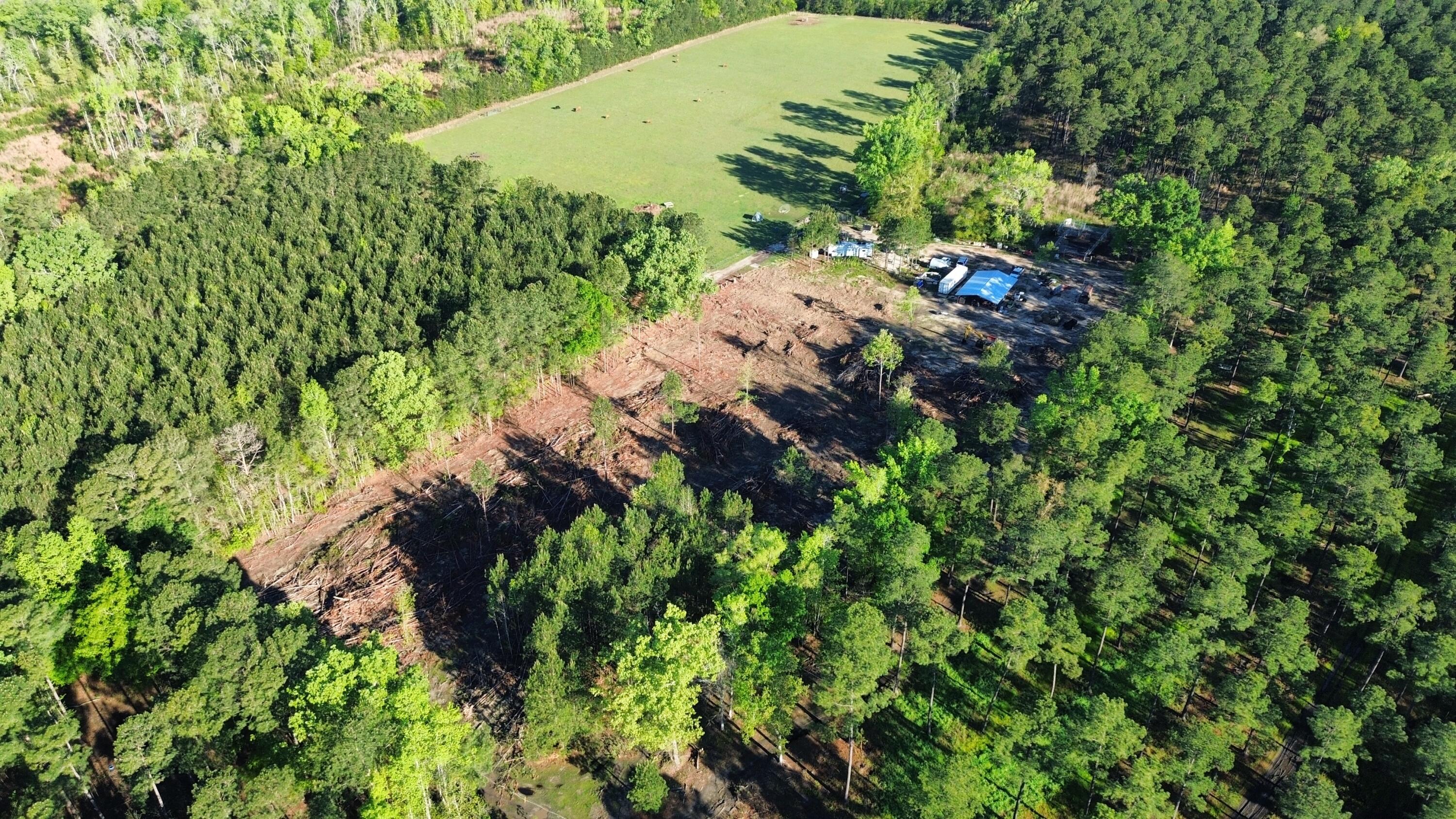 1647 Smoak Road Walterboro, SC 29488 - Photo 8 of 39 dji_fly_20240405_084614_8_1712321182538_