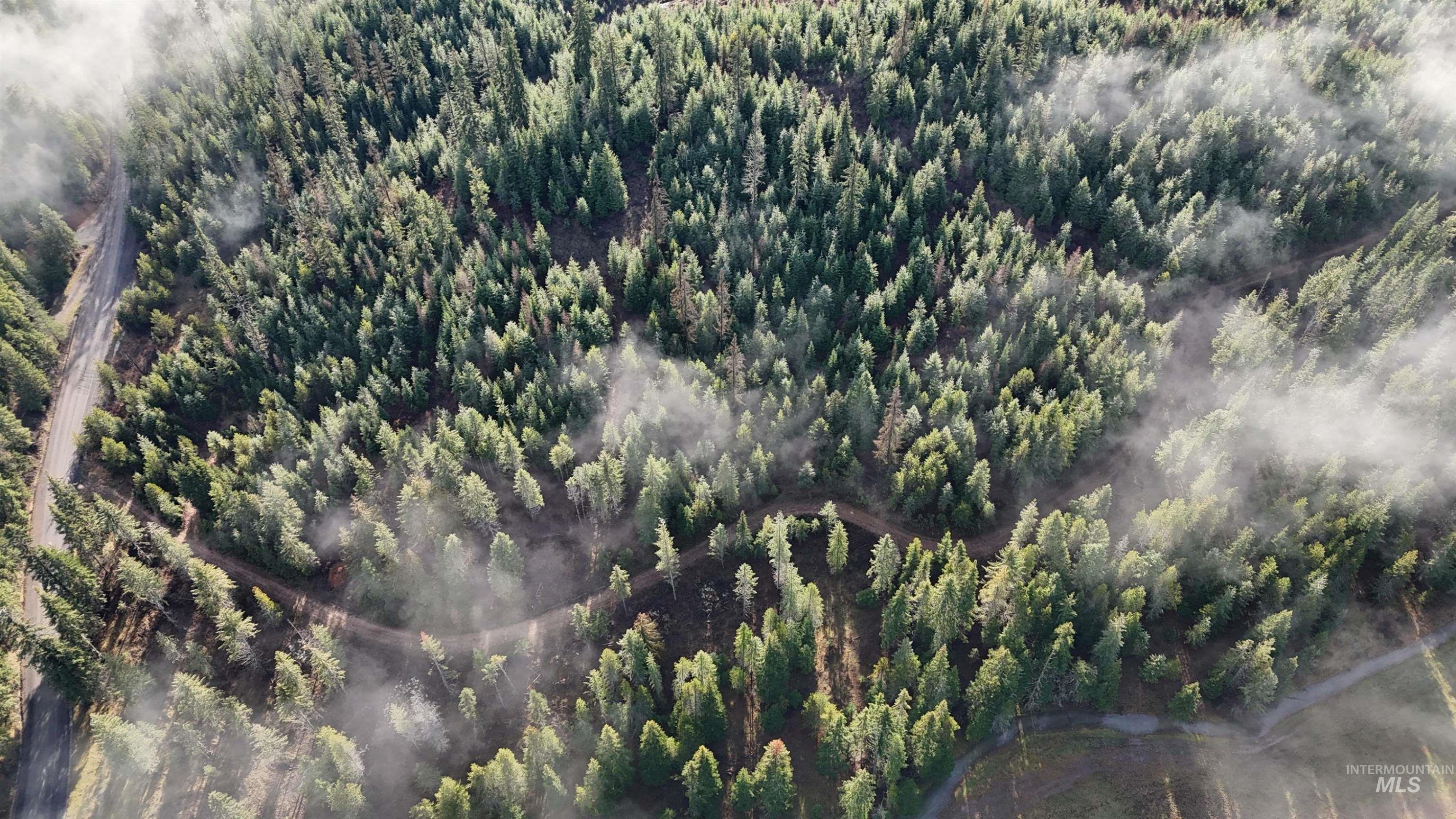 Tbd Johnston Mill Road, Unit 2 Orofino, ID 83544 - Photo 5 of 9