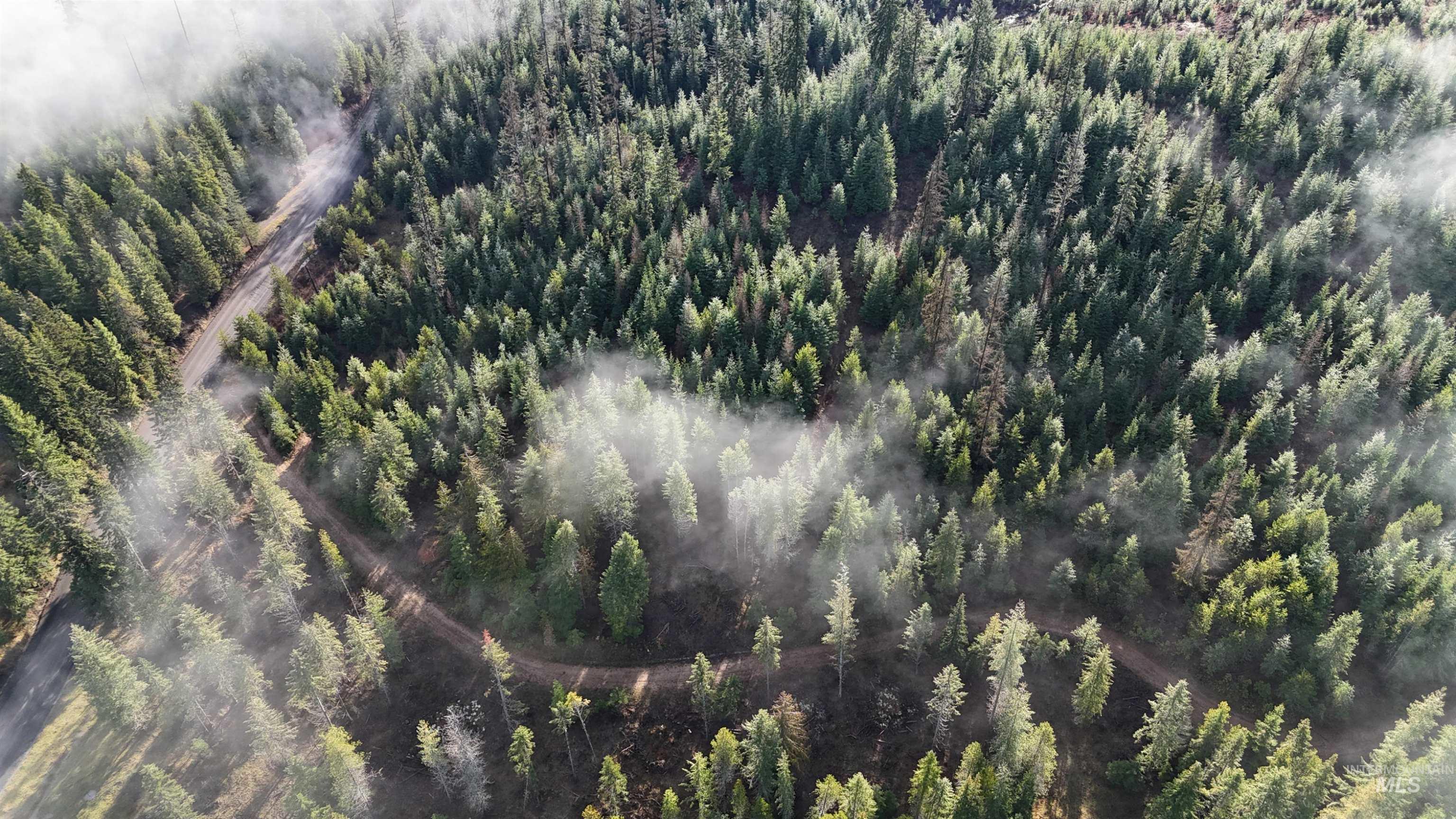 Tbd Johnston Mill Road, Unit 2 Orofino, ID 83544 - Photo 6 of 9