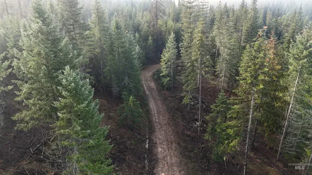 $115,000 | Tbd Johnston Mill Road, Unit 2, Orofino, ID 83544