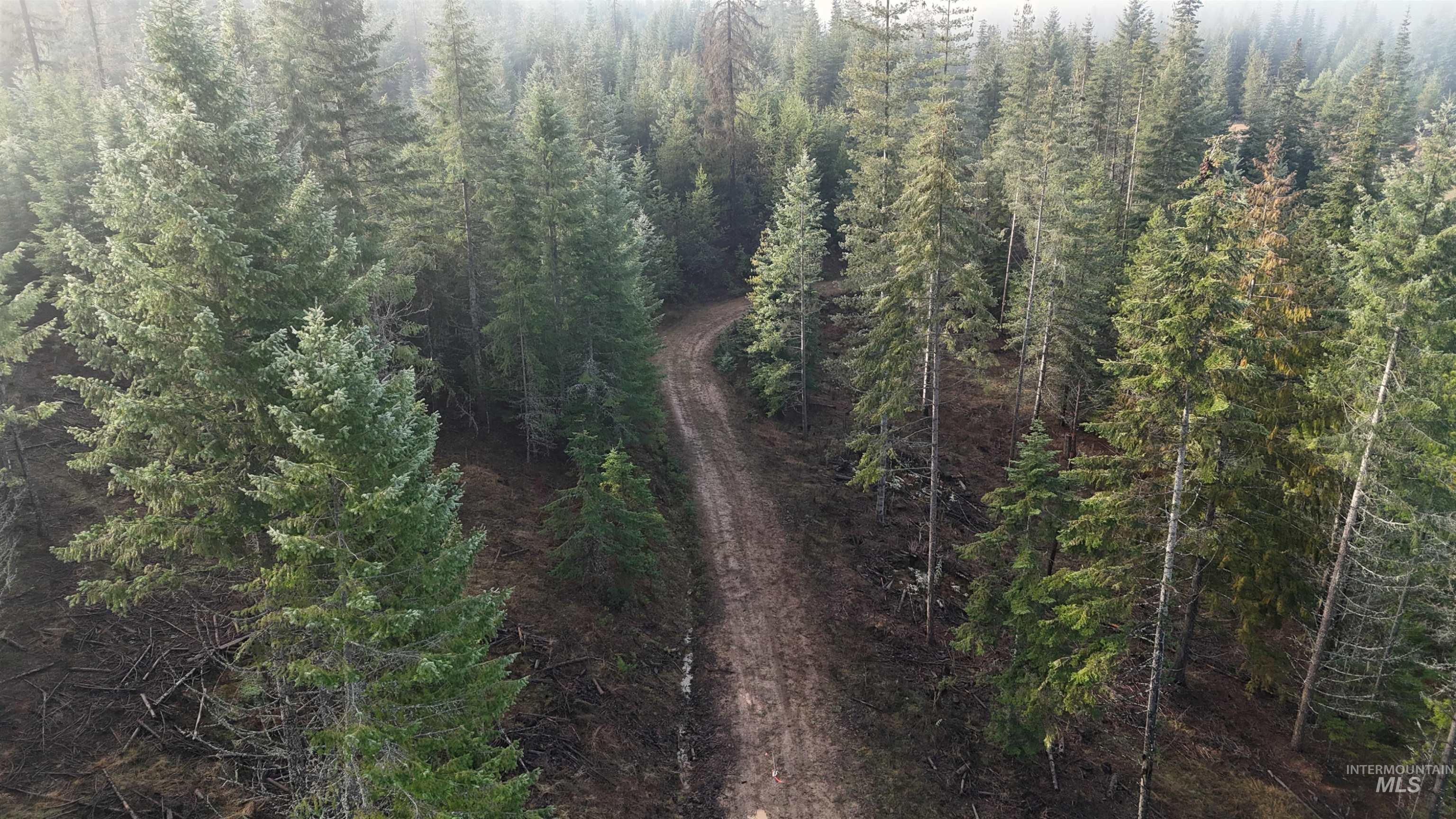 Tbd Johnston Mill Road, Unit 2 Orofino, ID 83544 - Photo 7 of 9