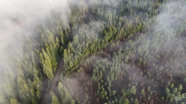 $115,000 | Tbd Johnston Mill Road, Unit 2, Orofino, ID 83544