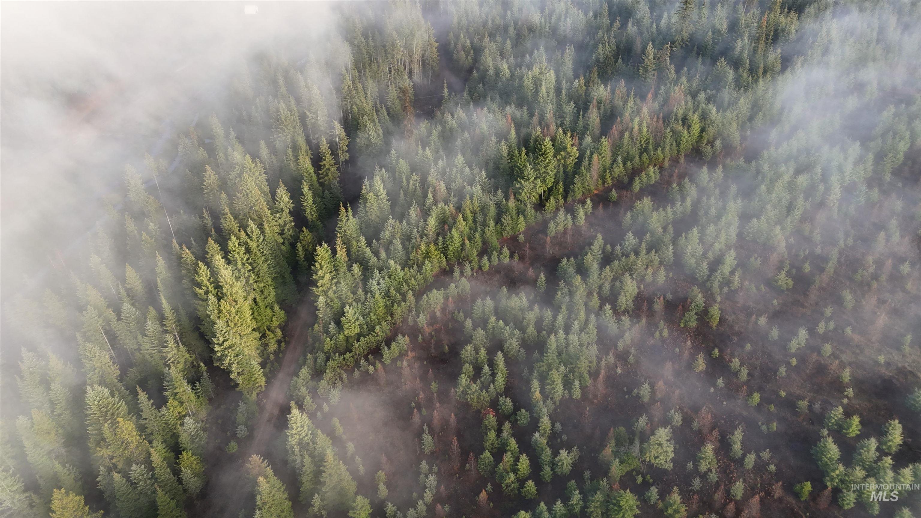 Tbd Johnston Mill Road, Unit 2 Orofino, ID 83544 - Photo 8 of 9