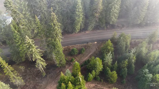 $115,000 | Tbd Johnston Mill Road, Unit 2, Orofino, ID 83544