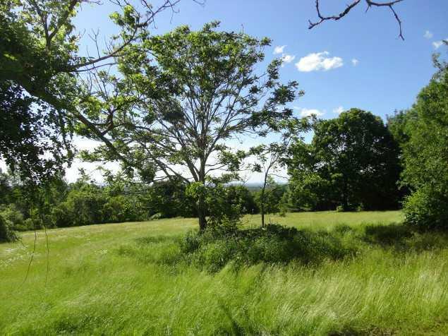 445 Waning Road Unity, ME 04988 - Photo 27 of 30 Yard/Garden. BACK YARD ACREAGE