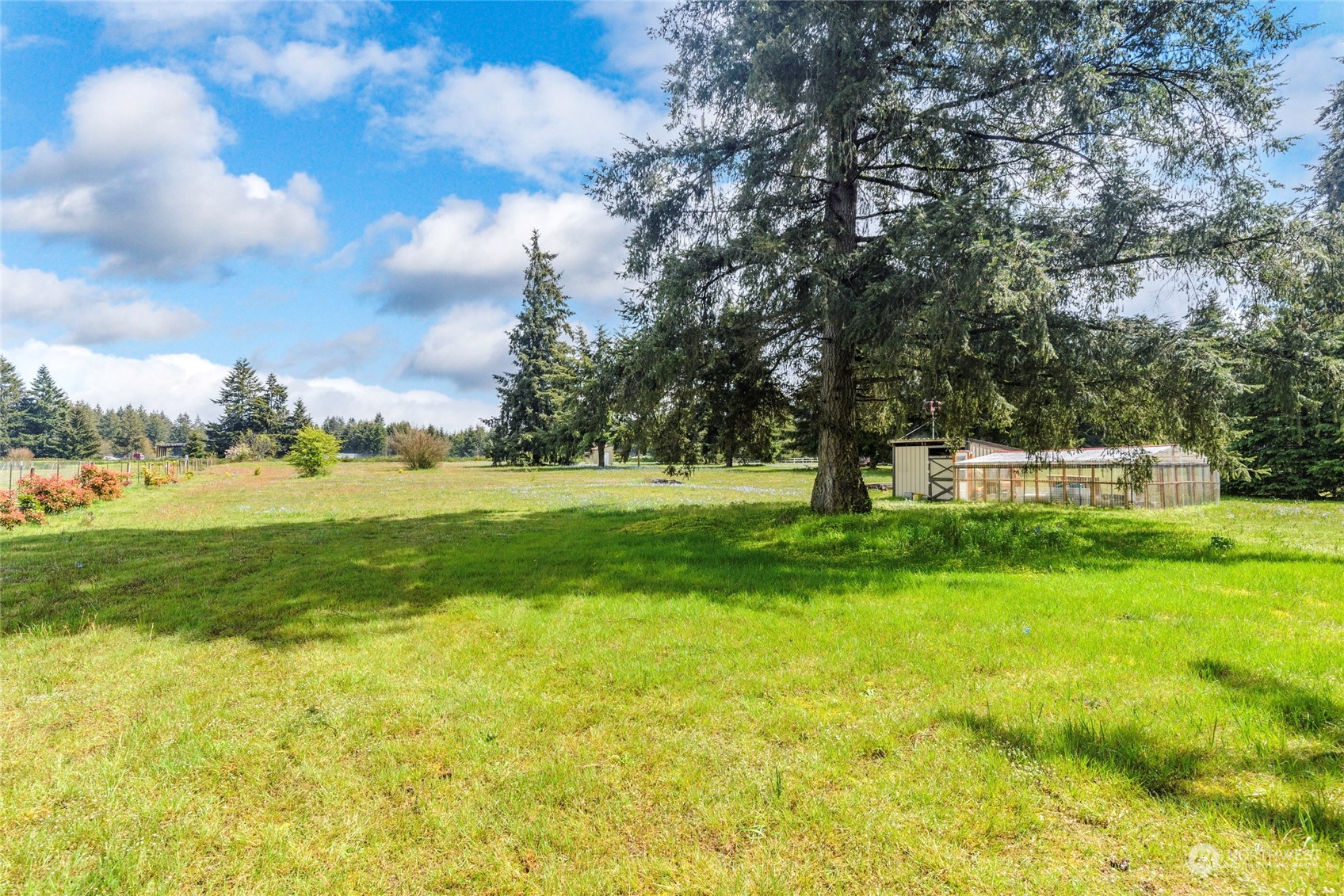 18524 Ivan Street Southwest Rochester, WA 98579 - Photo 16 of 20 a view of a park with large trees