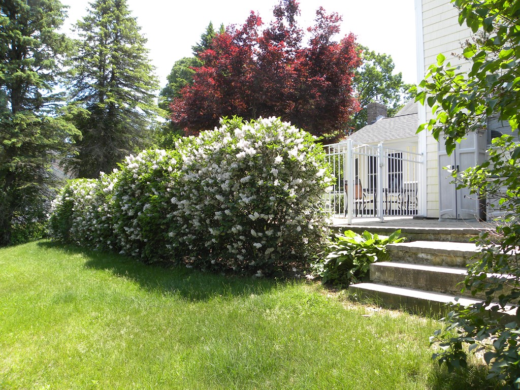 136 Old Westford Road Chelmsford, MA 01824 - Photo 5 of 30