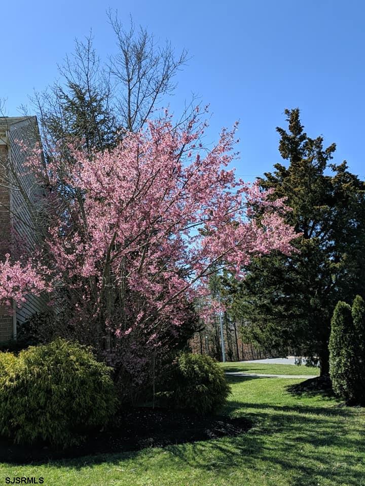 2 Jamestown Circle Mays Landing, NJ 08330 - Photo 22 of 25