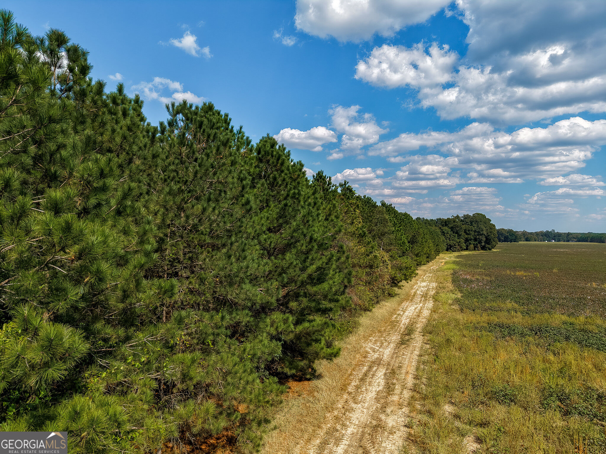 0 Sam Bradley Road Americus, GA 31709 - Photo 7 of 37 Gallery Image 7